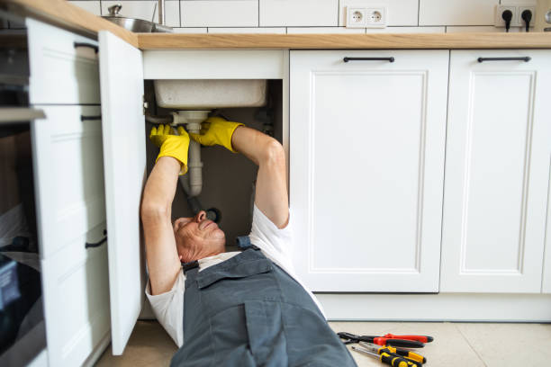 Best Clogged Drain Plumber  in Eagle Lake, WI